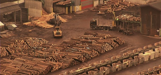 Defrişări-ilegale-Holzindustrie-Schweighofer