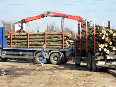 transport_lemne