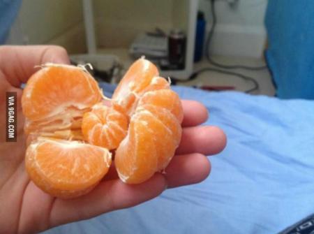 fotografia-care-a-devenit-virala-pe-internet-ce-a-descoperit-un-barbat-intr-o-portocala-foto-18468772
