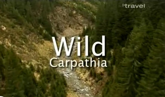 whild_carpathia_documentar