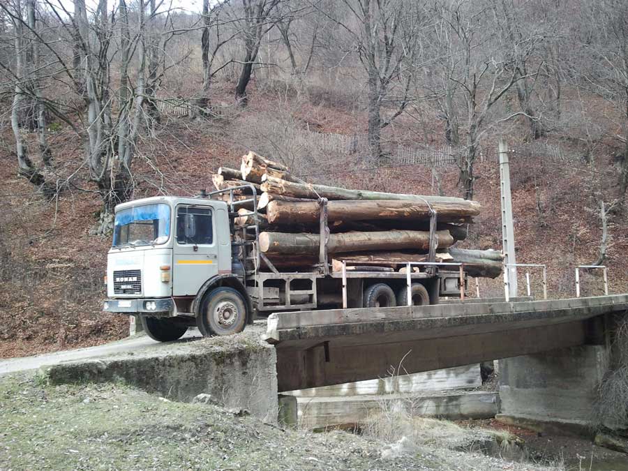 transport-lemne