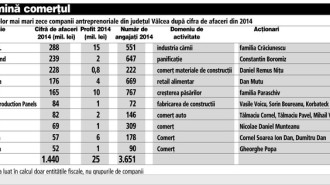 top oameni de afaceri Valcea