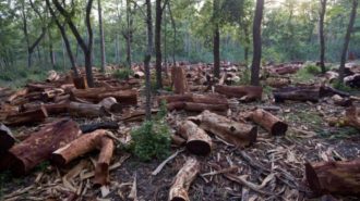 Gathered dead wood in community forest, Royal Bardiya National Park, South Western Nepal, 9th June 2009

PHOTOGRAPH BY AND COPYRIGHT OF SIMON DE TREY-WHITE 

+ 91 98103 99809
+ 91 11 435 06980
+44 07966 405896
+44 1963 220 745
email: simon@simondetreywhite.com