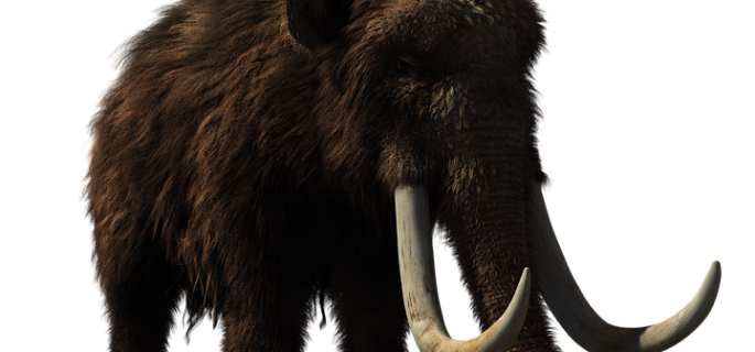 woolly-mammoth-2722882_960_720